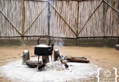 Timbavati Game Reserve bushveld scenery Umlani Bush Camp Greater Kruger South Africa
