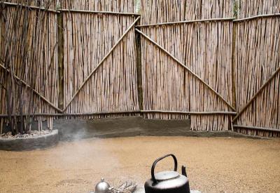 Timbavati Game Reserve bushveld scenery Umlani Bush Camp Greater Kruger South Africa