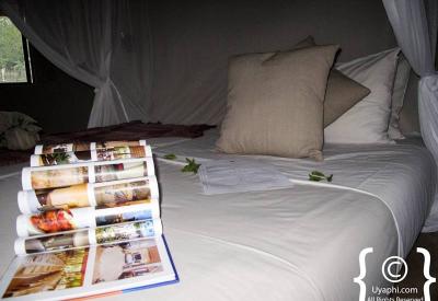 Umlani Bush Camp rustic chalet interior mosquito net Timbavati Game Reserve South Africa