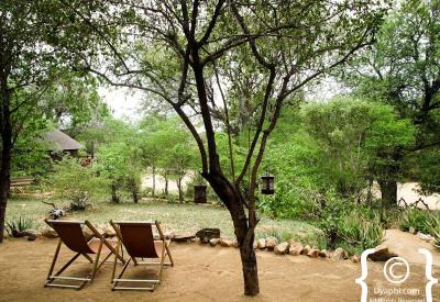 Umlani Bush Camp oil lantern night ambience authentic safari Timbavati South Africa