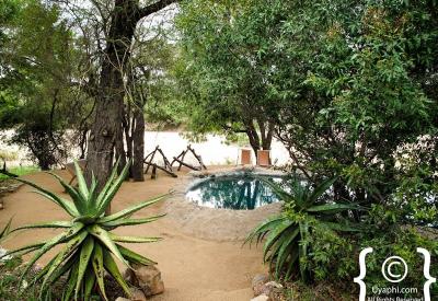 Umlani Bush Camp oil lantern night ambience authentic safari Timbavati South Africa