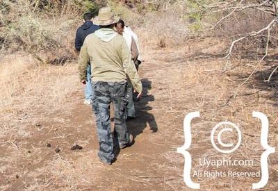 Kruger Park Scenery Photo Gallery