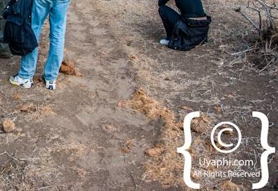 Kruger Park Scenery Photo Gallery