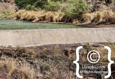 Kruger Park Scenery Photo Gallery