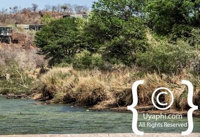 Kruger Park Scenery Photo Gallery