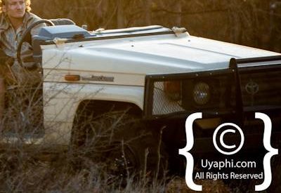 Kruger Park Scenery Photo Gallery