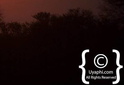 Kruger Park Scenery Photo Gallery