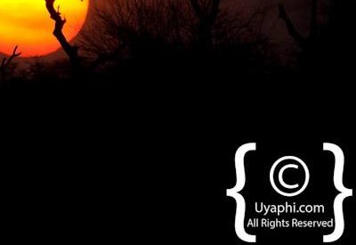 Scenery Photos of the Kruger Park