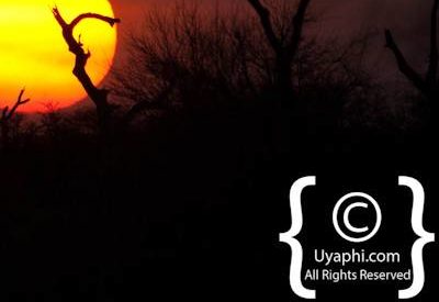 Scenery Photos of the Kruger Park