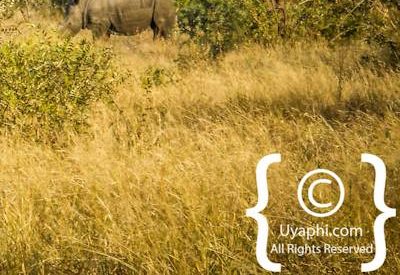 Scenery Photos of the Kruger Park