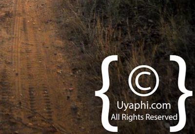 Scenery Photos of the Kruger Park