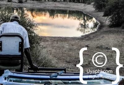 Scenery Photos of the Kruger Park