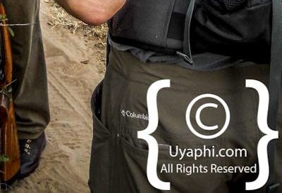 Scenery Photos of the Kruger Park