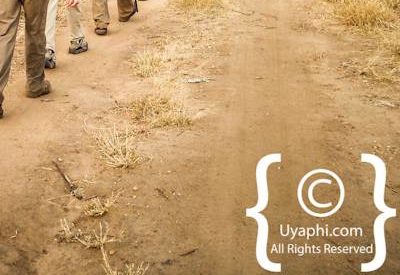 Scenery Photos of the Kruger Park