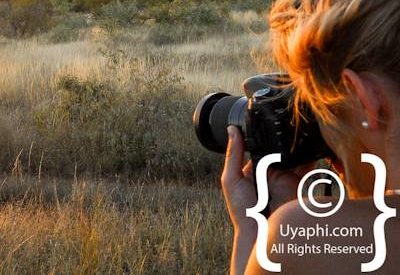 Scenery Photos of the Kruger Park