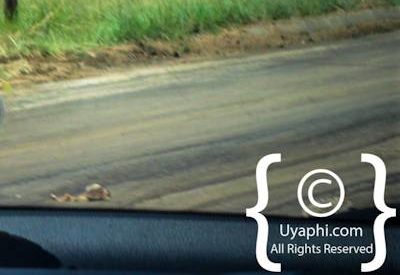 Scenery Photos of the Kruger Park