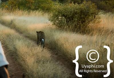 Scenery Photos of the Kruger Park