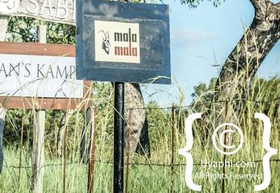 Scenery Photos of the Kruger Park