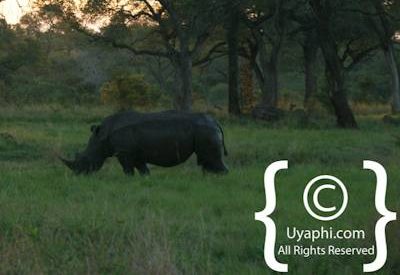 Scenery Photos of the Kruger Park