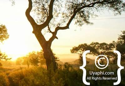 Scenery Photos of the Kruger Park