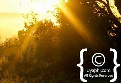 Scenery Photos of the Kruger Park