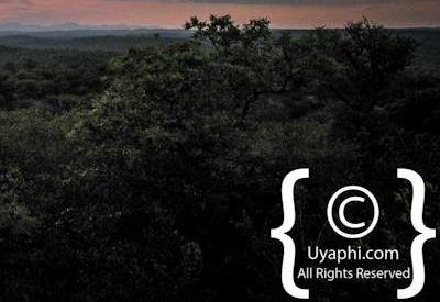 Scenery Photos of the Kruger Park