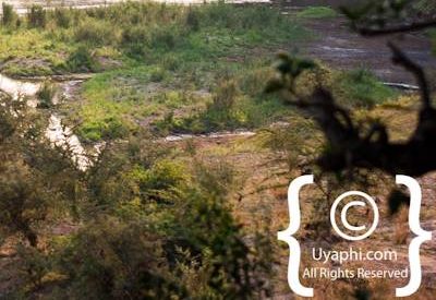 Kruger Park Scenery Photo Gallery