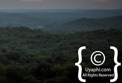 Scenery Photos of the Kruger Park