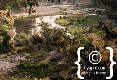 Kruger Park Scenery Photo Gallery