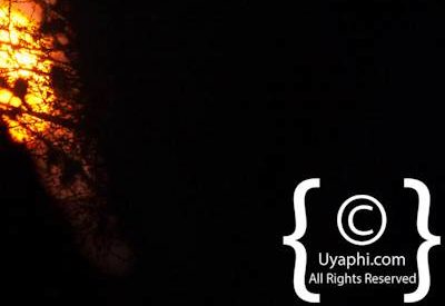 Kruger Park Scenery Photo Gallery