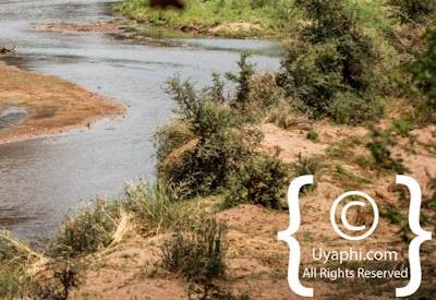 Kruger Park Scenery Photo Gallery