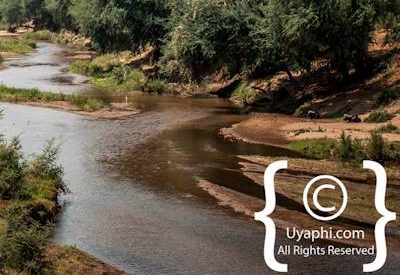 Kruger Park Scenery Photo Gallery