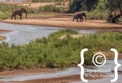 Kruger Park Scenery Photo Gallery