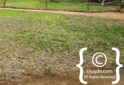 Africa On Foot Photo Gallery