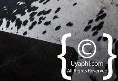 Africa On Foot Photo Gallery