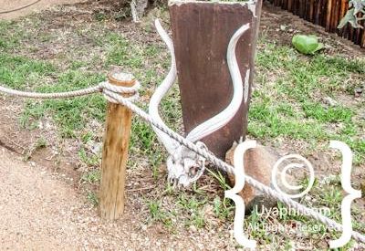 Africa On Foot Photo Gallery