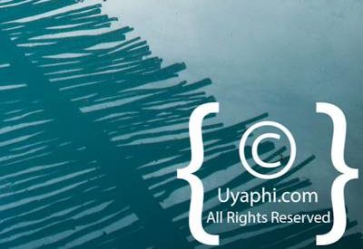 Photo Gallery of Africa On Foot