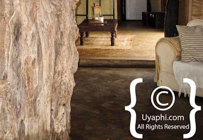 Africa On Foot Photo Gallery