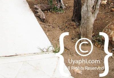 Ezulwini Billy’s Lodge Photo Gallery