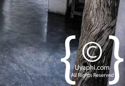 Photo Gallery of Ezulwini Billy’s Lodge