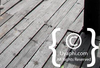 Photo Gallery of Ezulwini Billy’s Lodge