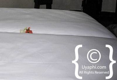 Photo Gallery of Ezulwini Billy’s Lodge