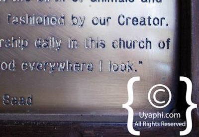 Ezulwini Billy’s Lodge Photo Gallery