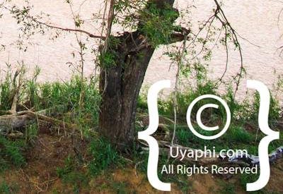 Ezulwini River Lodge Photo Gallery