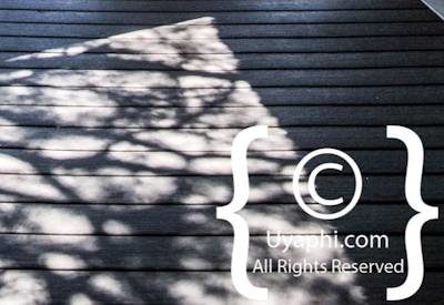 Lion Sands Ivory Lodge Photo Gallery