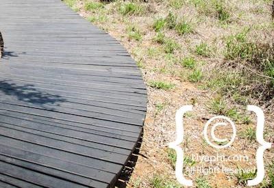 Photo Gallery of Lion Sands Ivory Lodge