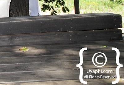 Photo Gallery of Lion Sands Ivory Lodge