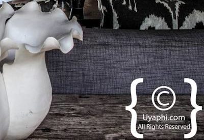 Lion Sands Ivory Lodge Photo Gallery