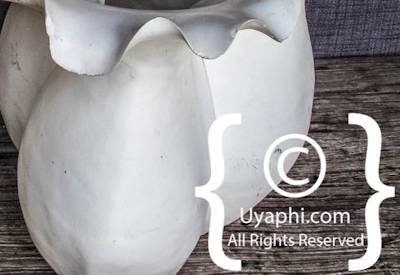 Lion Sands Ivory Lodge Photo Gallery