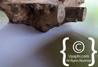 Lion Sands River Lodge Photo Gallery